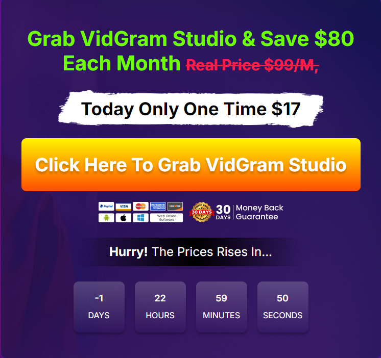 VidGram Studio Review