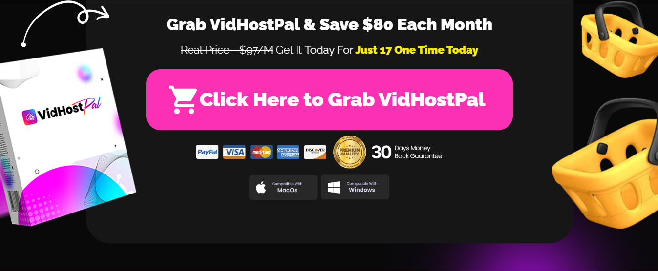 VidHostPal Review